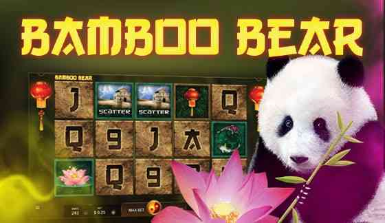 Bamboo Bear