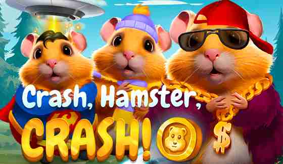 CRASH, HAMSTER, CRASH!